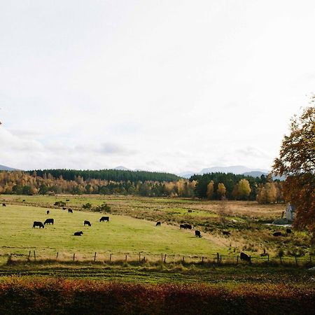 Ferienwohnung The Dell Of Abernethy - A Woodland Hideaway Nethy Bridge Exterior foto