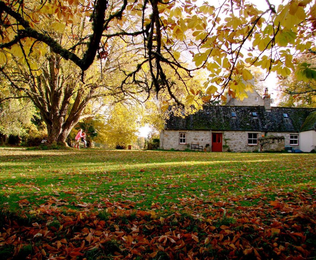 Ferienwohnung The Dell Of Abernethy - A Woodland Hideaway Nethy Bridge Exterior foto