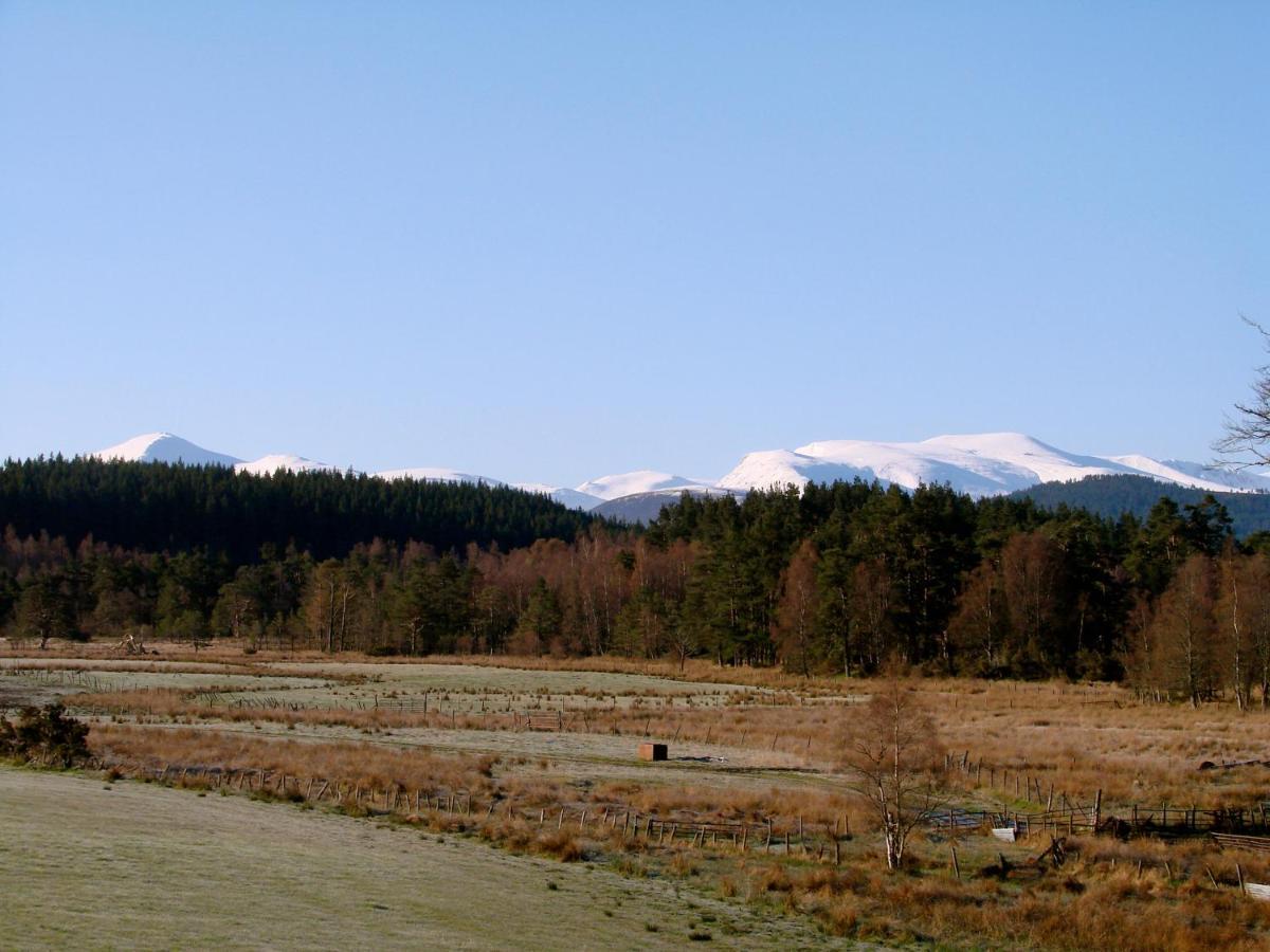 Ferienwohnung The Dell Of Abernethy - A Woodland Hideaway Nethy Bridge Exterior foto