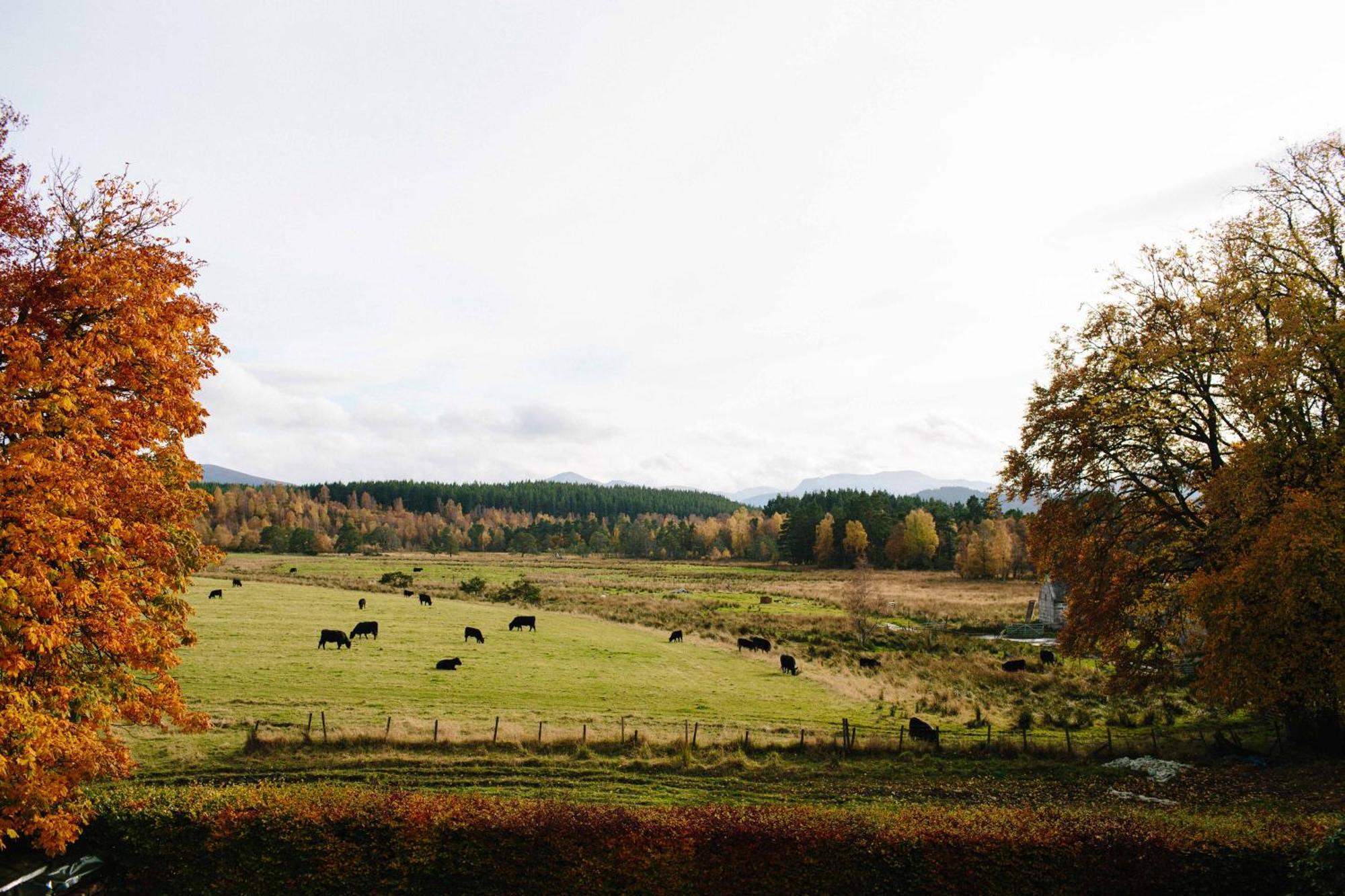 Ferienwohnung The Dell Of Abernethy - A Woodland Hideaway Nethy Bridge Exterior foto